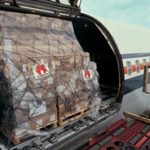Disjointed EU PLACI roll out may cause customs clearance delays