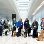 London Stansted welcomes seven guide dog puppies for a training tour