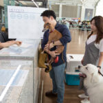 Korean Air has experienced a 29% year-on-year increase in this year’s first half in the number of passengers travelling with pets.